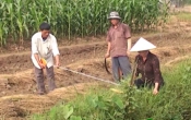 PS Nam Định hoàn thành nhiệm vụ xây dựng nông thôn mới