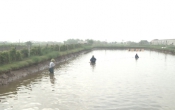 PS  Xuân về trên vùng biển sáng