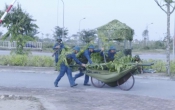 Quốc phòng toàn dân  17/11/2022