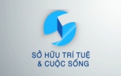 Sở hữu trí tuệ & Cuộc sống 11/11/2022