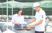 Sở hữu trí tuệ & cuộc sống  12/01/2024