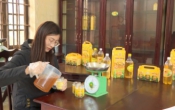Sở hữu trí tuệ & Cuộc sống  16/02/2024