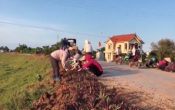 TC  Đại đoàn kết ( 12/07/2020 )