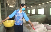 TC  Phụ nữ Việt ( 29/04/2020 )