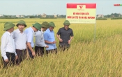 Thời sự truyền hình tối ngày  04/6/2024