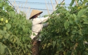 Thời sự truyền hình tối ngày  06/12/2022