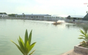 Thời sự truyền hình tối ngày 09/8/2023
