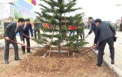 Thời sự truyền hình tối ngày  15/02/2024