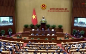 Thời sự truyền hình tối ngày  16/01/2024