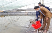 Thời sự truyền hình tối ngày  17/4/2022