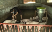 Thời tiết nông vụ  01/4/2024