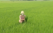 Thời tiết nông vụ  01/5/2023
