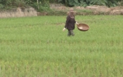Thời tiết nông vụ  03/4/2023