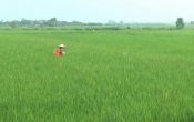 Thời tiết nông vụ  04/9/2023
