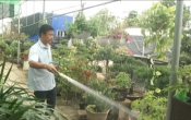 Thời tiết nông vụ   06/6/2022