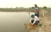 Thời tiết nông vụ  08/5/2023