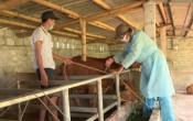 Thời tiết nông vụ  09/01/2023