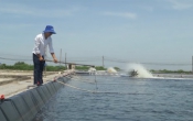 Thời tiết nông vụ  09/10/2023