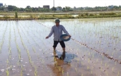 Thời tiết nông vụ  10/7/2023
