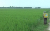 Thời tiết nông vụ  11/4/2022
