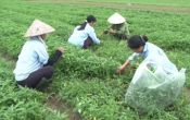 Thời tiết nông vụ  11/9/2023