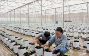 Thời tiết nông vụ  12/6/2023