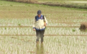 Thời tiết nông vụ  13/02/2023