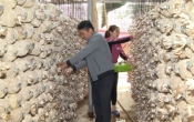 Thời tiết nông vụ  13/3/2023