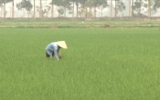 Thời tiết nông vụ  14/3/2022