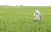 Thời tiết nông vụ  14/8/2023