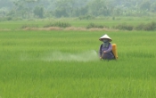 Thời tiết nông vụ  15/4/2024