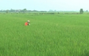 Thời tiết nông vụ  15/8/2022