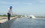 Thời tiết nông vụ  17/10/2022