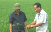 Thời tiết nông vụ  17/4/2023