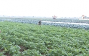 Thời tiết nông vụ  18/12/2023