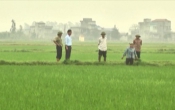 Thời tiết nông vụ  19/8/2024