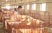 Thời tiết nông vụ  20/11/2023