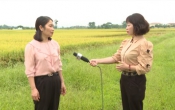 Thời tiết nông vụ   20/6/2022