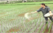 Thời tiết nông vụ  21/02/2022
