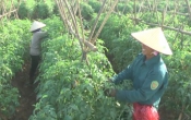 Thời tiết nông vụ  21/3/2022