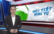 Thời tiết nông vụ ( 22/06/2020 )