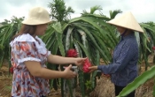 Thời tiết nông vụ  22/7/2024