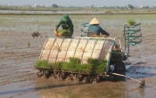 Thời tiết nông vụ   23/01/2023