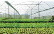Thời tiết nông vụ ( 25/05/2020 )
