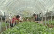 Thời tiết nông vụ  25/9/2023