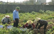 Thời tiết nông vụ  26/02/2024