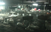 Thời tiết nông vụ  26/9/2022