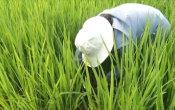 Thời tiết nông vụ  28/4/2025