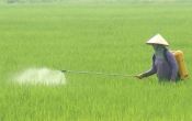 Thời tiết nông vụ  28/8/2023
