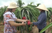Thời tiết nông vụ  29/5/2023